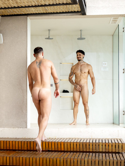 Sir Peter Bangs Brazil